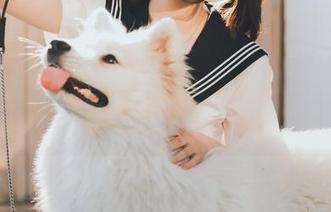 河豚抚子图包：这居家少女果然是“家里状态”的真实写照