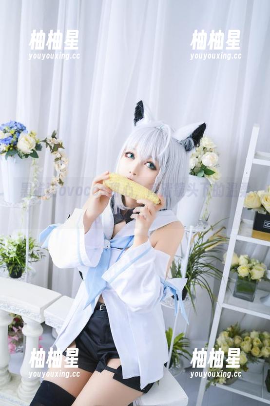 黑猫猫ovo 黑猫猫ovocos甜心,高清镜头下的温柔陷阱。